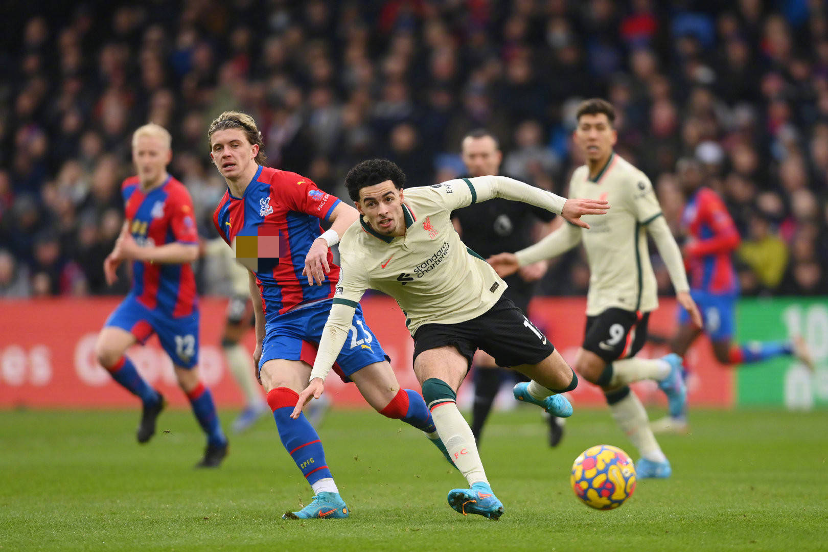 历了一次艰 历了一次艰